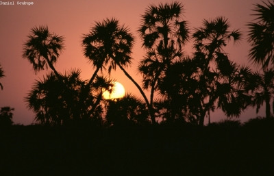 Klíčová slova: Soukup Daniel photos fotografie ?ad Tchad Afrika travel cestovn pamtky