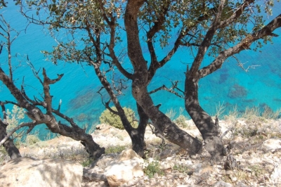 Klíčová slova: Soukup Daniel photos fotografie Cyprus Kypr travel cestovn pamtky