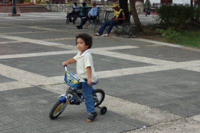 image309.jpg