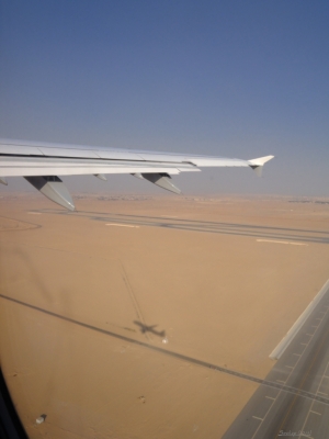 DSCN2704.jpg