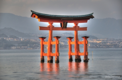 TORII.jpg