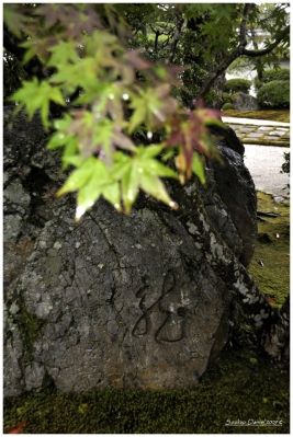 Klíčová slova: Soukup Daniel photos fotografie Japan Japonsko travel cestovn pamtky