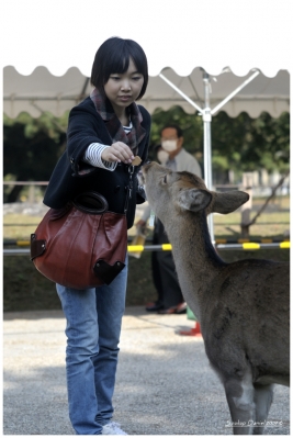 Klíčová slova: Soukup Daniel photos fotografie Japan Japonsko travel cestovn pamtky