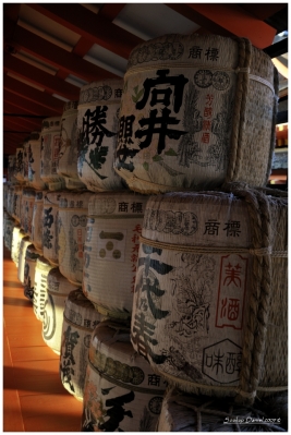 Klíčová slova: Soukup Daniel photos fotografie Japan Japonsko travel cestovn pamtky