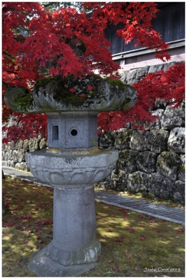 Klíčová slova: Soukup Daniel photos fotografie Japan Japonsko travel cestovn pamtky