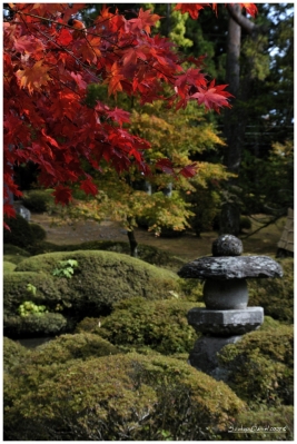 Klíčová slova: Soukup Daniel photos fotografie Japan Japonsko travel cestovn pamtky