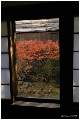 Klíčová slova: Soukup Daniel photos fotografie Japan Japonsko travel cestovn pamtky