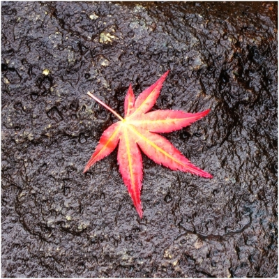 Klíčová slova: Soukup Daniel photos fotografie Japan Japonsko travel cestovn pamtky