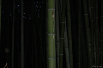 Klíčová slova: Soukup Daniel photos fotografie Japonsko Japan travel cestovn pamtky