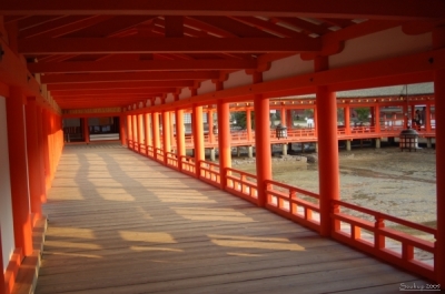 Miyajima
Klíčová slova: Soukup Daniel photos fotografie Japonsko Japan travel cestovn pamtky