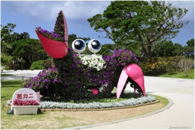 Klíčová slova: Soukup Daniel photos fotografie Japan Japonsko travel cestovn pamtky