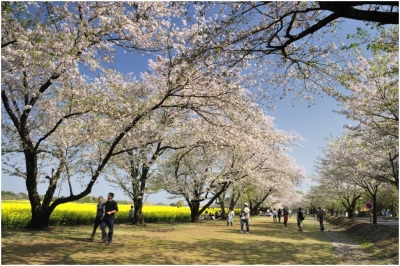 Klíčová slova: Soukup Daniel photos fotografie Japan Japonsko travel cestovn pamtky