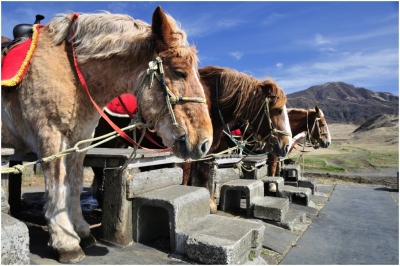 Klíčová slova: Soukup Daniel photos fotografie Japan Japonsko travel cestovn pamtky