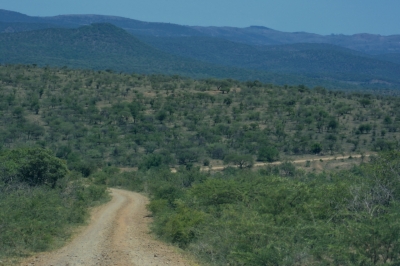 Klíčová slova: Soukup Daniel photos fotografie Afrika South Africa travel cestovn pamtky
