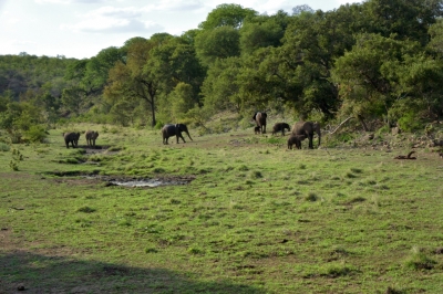 Klíčová slova: Soukup Daniel photos fotografie Afrika South Africa travel cestovn pamtky