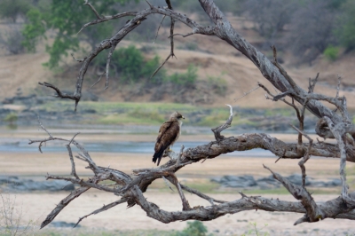 Klíčová slova: Soukup Daniel photos fotografie Afrika South Africa travel cestovn pamtky