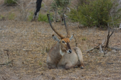 Klíčová slova: Soukup Daniel photos fotografie Afrika South Africa travel cestovn pamtky