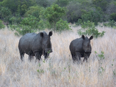 Klíčová slova: Soukup Daniel photos fotografie Afrika South Africa travel cestovn pamtky