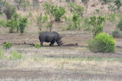 Klíčová slova: Soukup Daniel photos fotografie Afrika South Africa travel cestovn pamtky