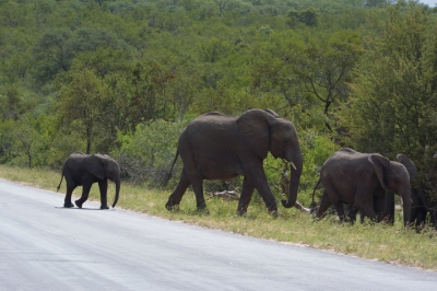 Klíčová slova: Soukup Daniel photos fotografie Afrika South Africa travel cestovn pamtky