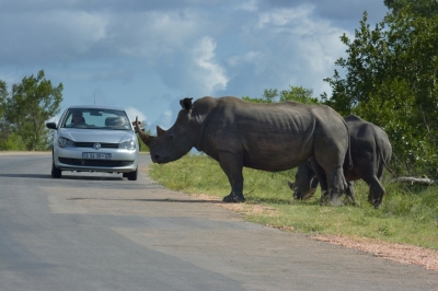 Klíčová slova: Soukup Daniel photos fotografie Afrika South Africa travel cestovn pamtky