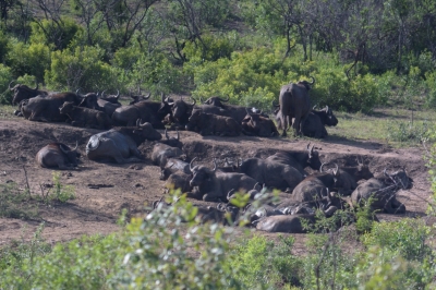 Klíčová slova: Soukup Daniel photos fotografie Afrika South Africa travel cestovn pamtky