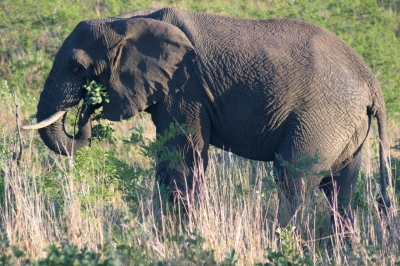 Klíčová slova: Soukup Daniel photos fotografie Afrika South Africa travel cestovn pamtky