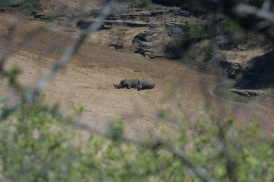 Klíčová slova: Soukup Daniel photos fotografie Afrika South Africa travel cestovn pamtky