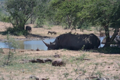 Klíčová slova: Soukup Daniel photos fotografie Afrika South Africa travel cestovn pamtky