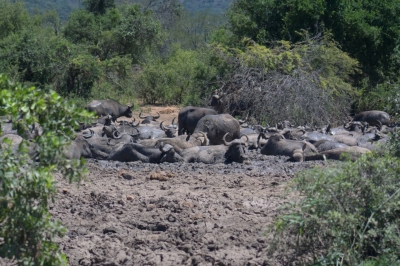 Klíčová slova: Soukup Daniel photos fotografie Afrika South Africa travel cestovn pamtky