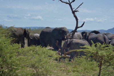 Klíčová slova: Soukup Daniel photos fotografie Afrika South Africa travel cestovn pamtky