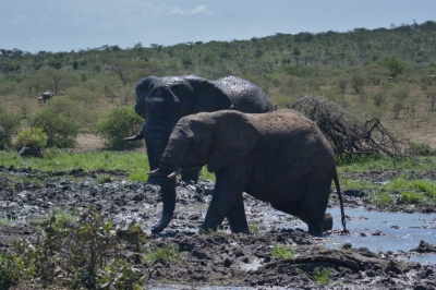 Klíčová slova: Soukup Daniel photos fotografie Afrika South Africa travel cestovn pamtky