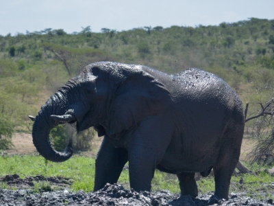 Klíčová slova: Soukup Daniel photos fotografie Afrika South Africa travel cestovn pamtky