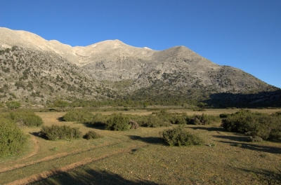 DSC_0012.jpg