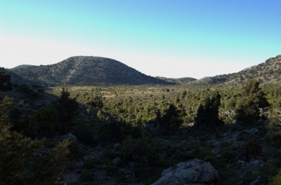 DSC_0014.jpg
