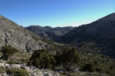 DSC_0016.jpg