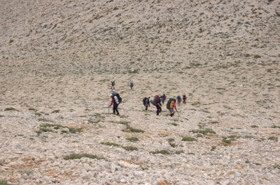 DSC_0019.jpg