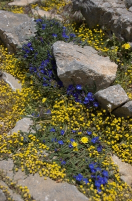 DSC_0029.jpg