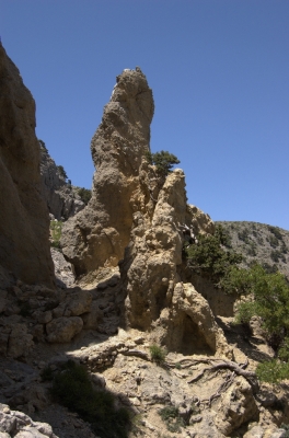 DSC_0046.jpg