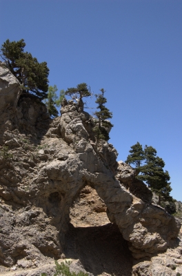 DSC_0047.jpg