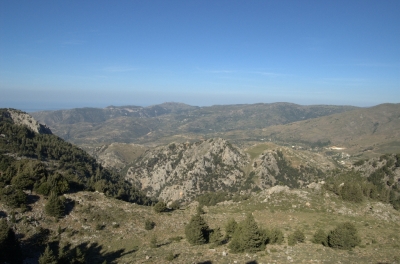 DSC_0049.jpg