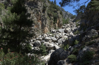 DSC_0050.jpg