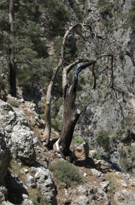 DSC_0051.jpg