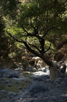 DSC_0053.jpg