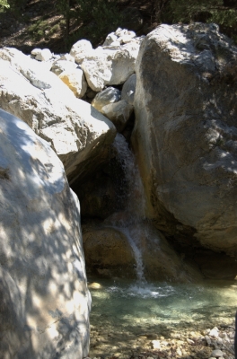 DSC_0054.jpg