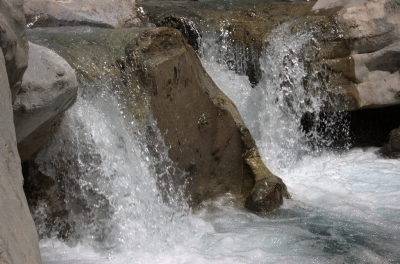 DSC_0056.jpg