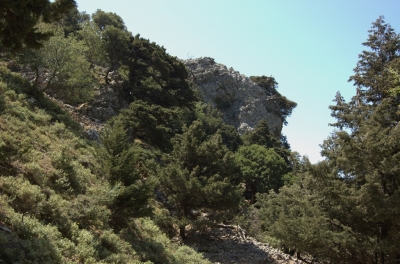 DSC_0067.jpg