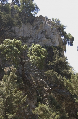 DSC_0069.jpg