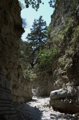 DSC_0070.jpg
