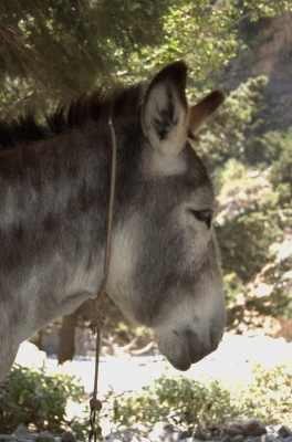 DSC_0073.jpg